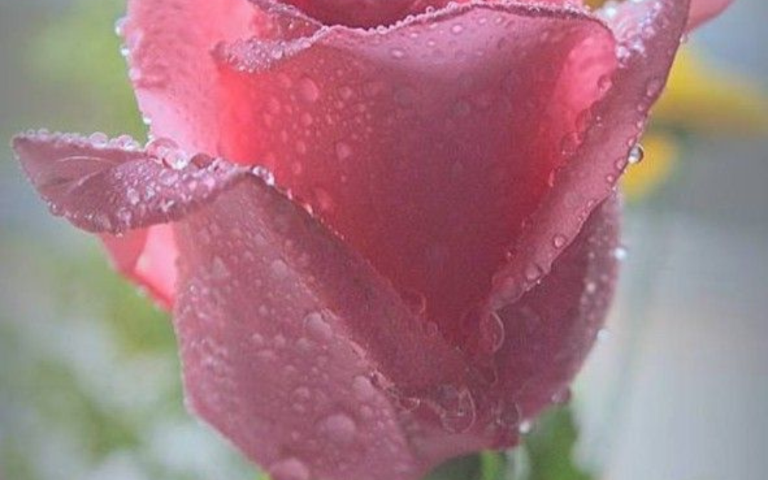 Self-love and why it’s SO essential